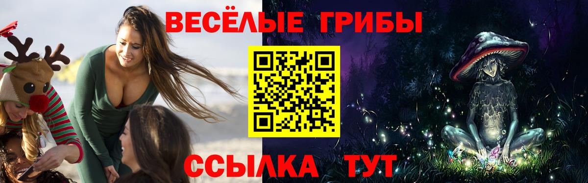 Галлюциногенные грибы мицелий  Вход с VPN  где найти наркотики  Псилоцибиновые грибы Magic Shrooms  Холмск 
